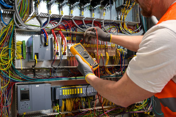 Best Electrician for Home Renovation  in Double Springs, AL